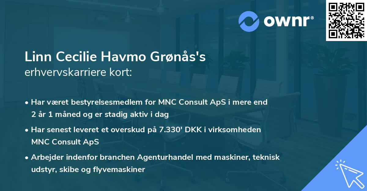 Linn Cecilie Havmo Grønås's erhvervskarriere kort