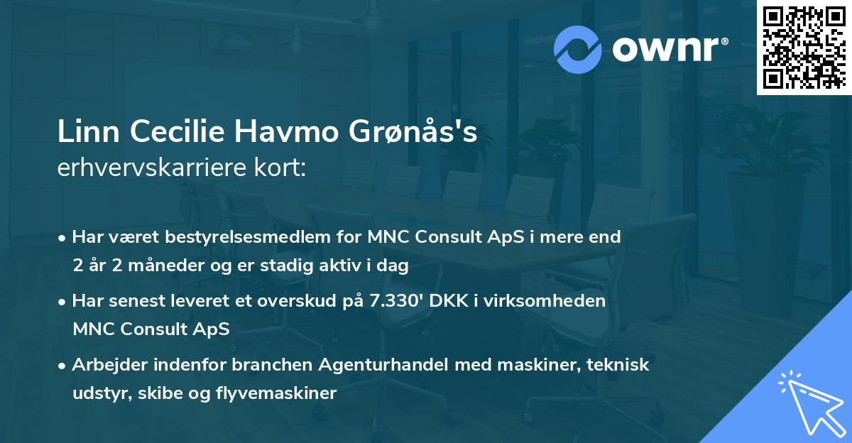 Linn Cecilie Havmo Grønås's erhvervskarriere kort