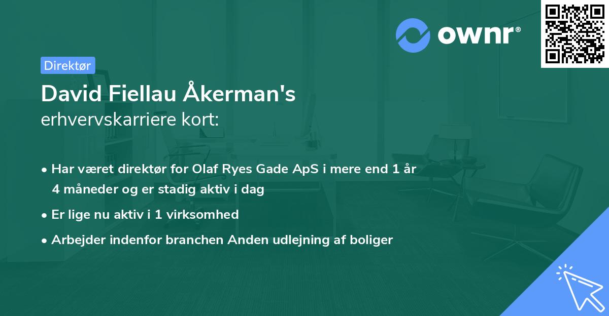 David Fiellau Åkerman's erhvervskarriere kort