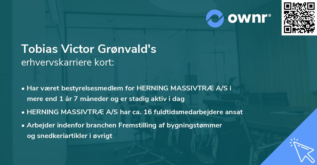 Tobias Victor Grønvald's erhvervskarriere kort
