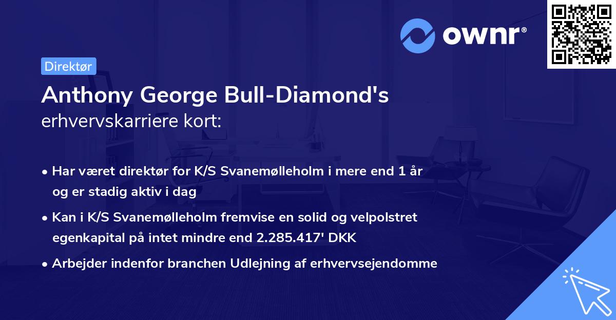 Anthony George Bull-Diamond's erhvervskarriere kort