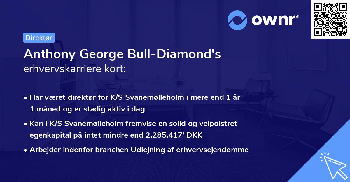Anthony George Bull-Diamond's erhvervskarriere kort