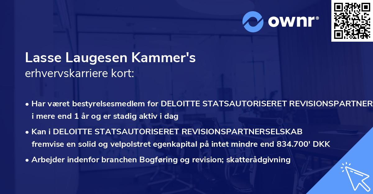 Lasse Laugesen Kammer's erhvervskarriere kort