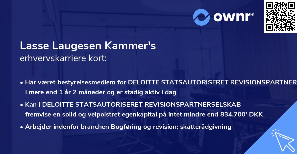Lasse Laugesen Kammer's erhvervskarriere kort