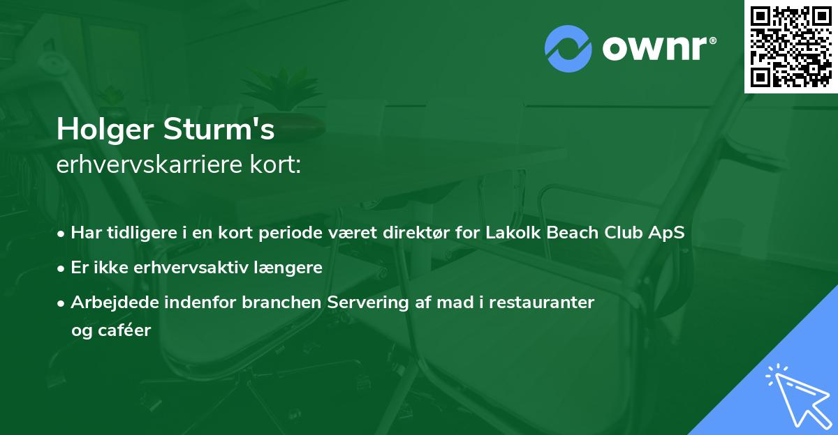 Holger Sturm's erhvervskarriere kort