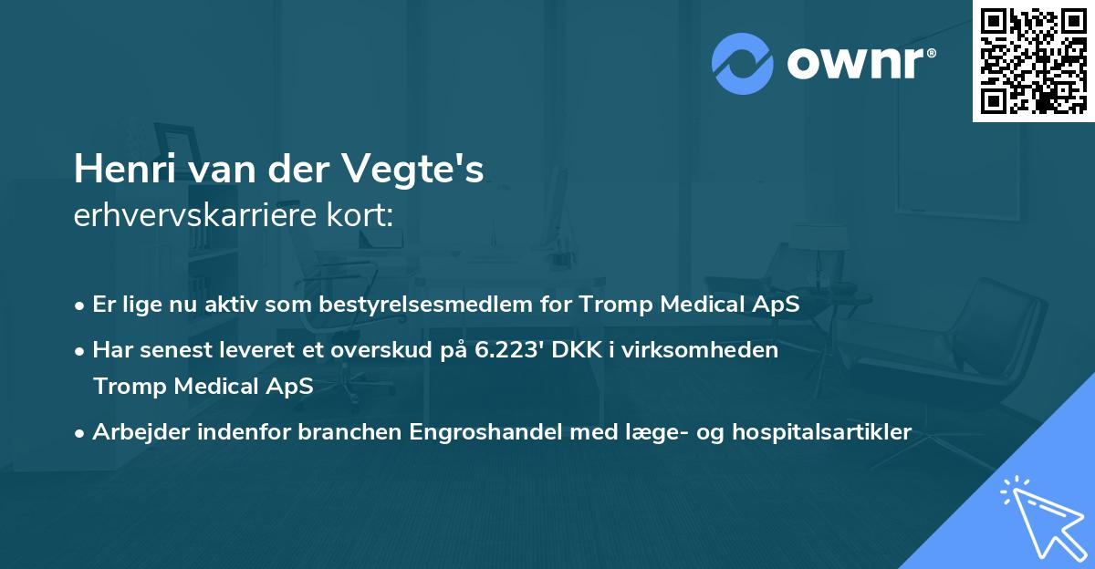 Henri van der Vegte's erhvervskarriere kort