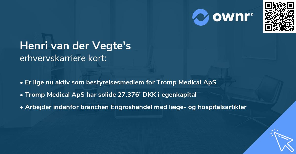 Henri van der Vegte's erhvervskarriere kort