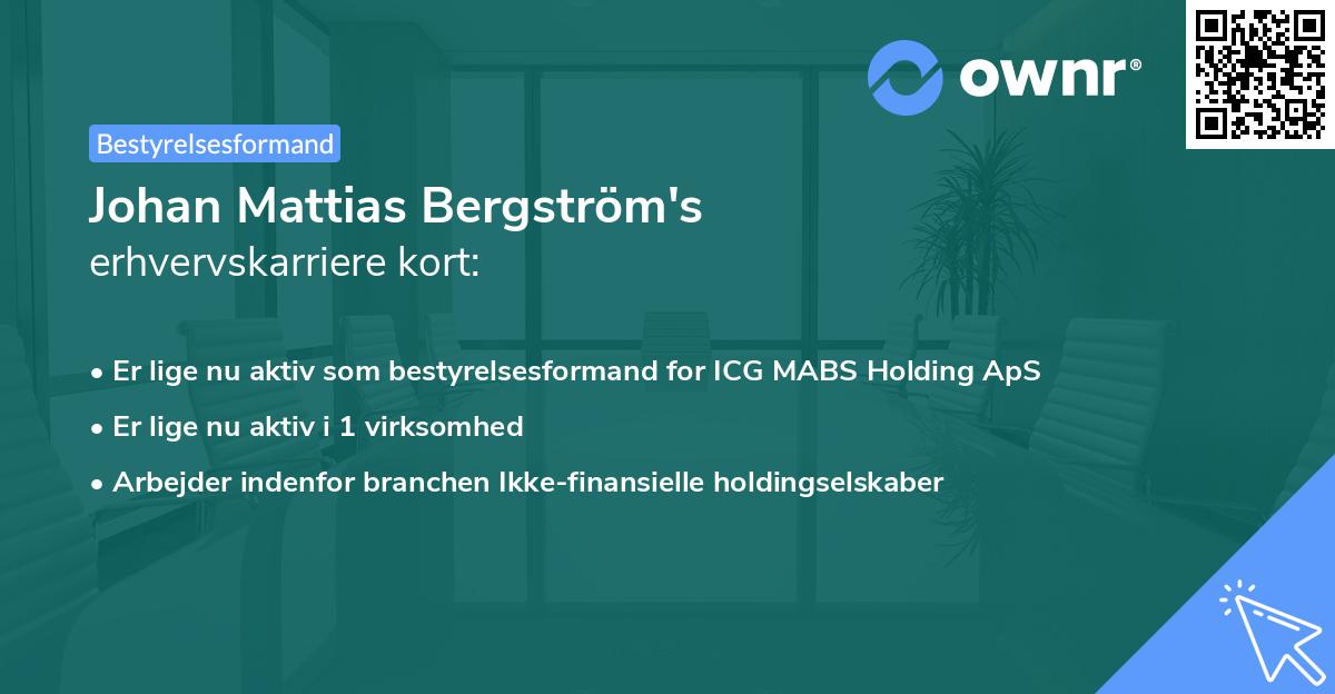 Johan Mattias Bergström's erhvervskarriere kort