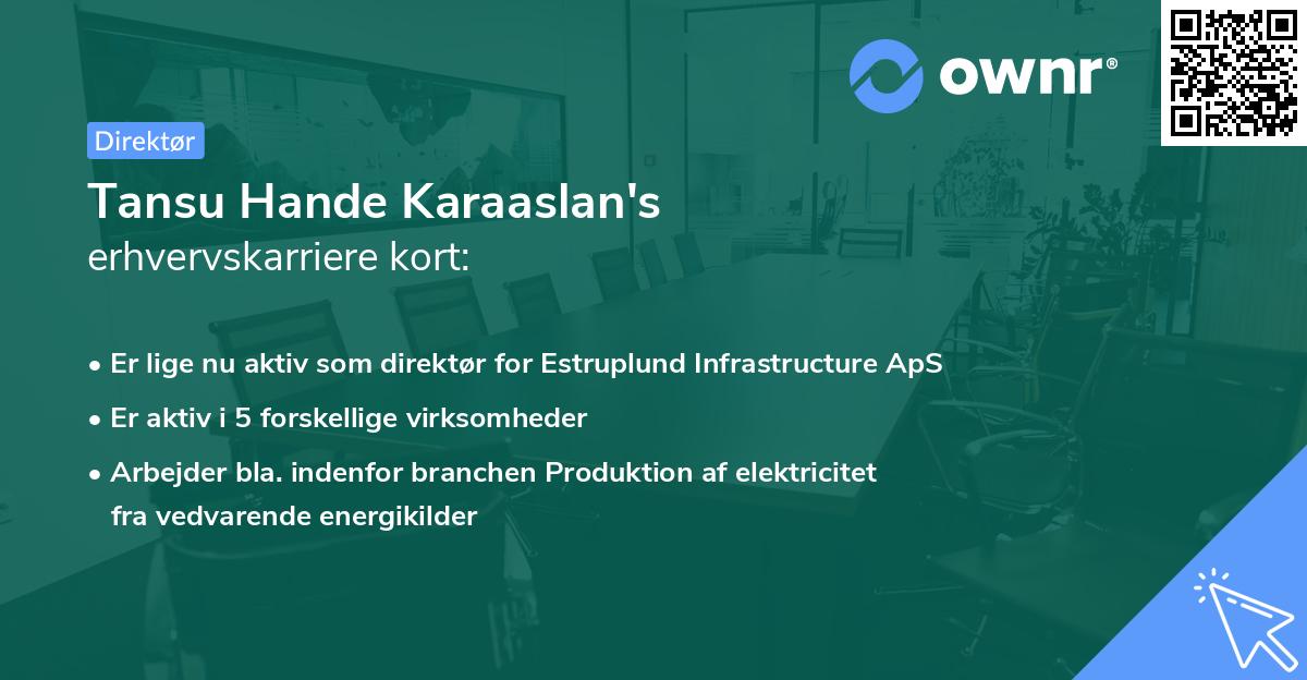 Tansu Hande Karaaslan's erhvervskarriere kort