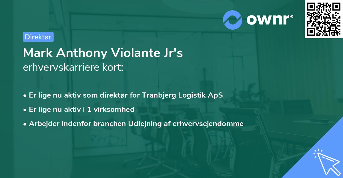 Mark Anthony Violante Jr's erhvervskarriere kort