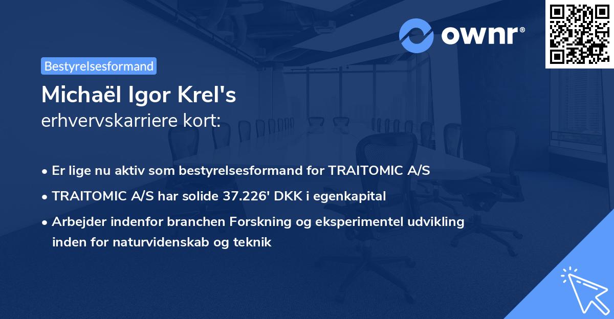 Michaël Igor Krel's erhvervskarriere kort