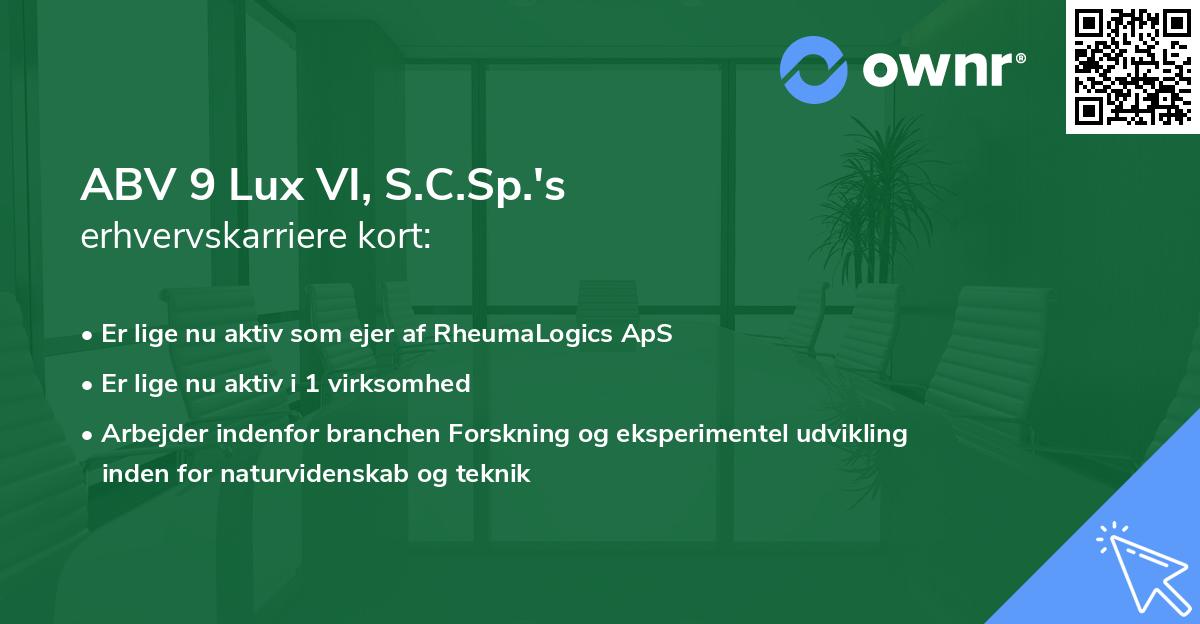 ABV 9 Lux VI, S.C.Sp.'s erhvervskarriere kort