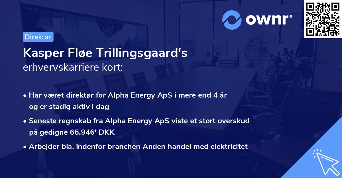 Kasper Fløe Trillingsgaard's erhvervskarriere kort