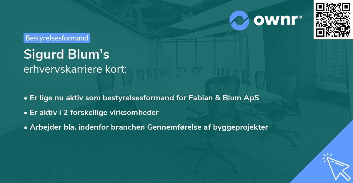 Sigurd Blum's erhvervskarriere kort
