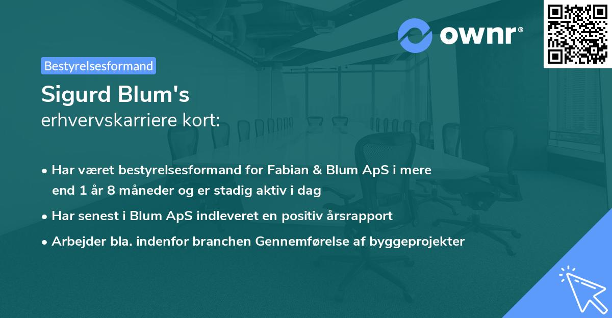 Sigurd Blum's erhvervskarriere kort