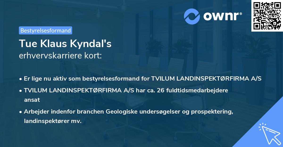 Tue Klaus Kyndal's erhvervskarriere kort