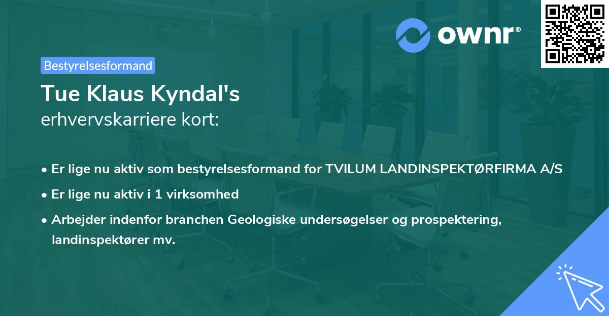 Tue Klaus Kyndal's erhvervskarriere kort
