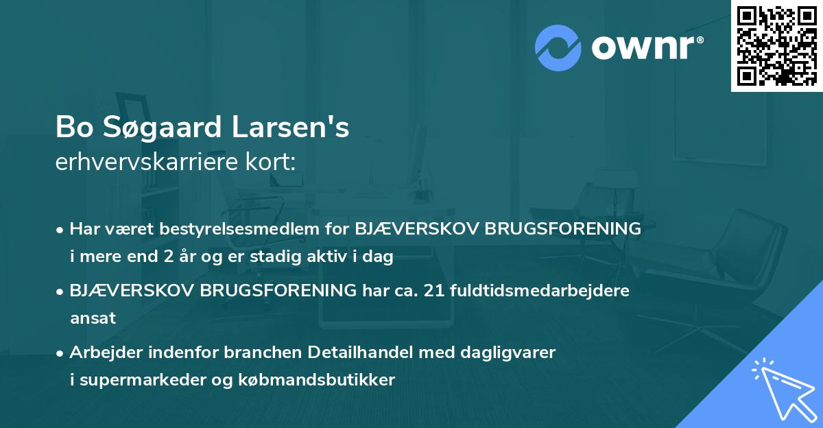 Bo Søgaard Larsen's erhvervskarriere kort