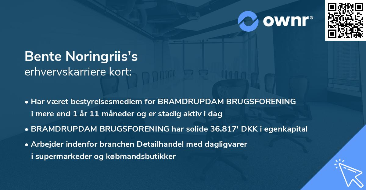 Bente Noringriis's erhvervskarriere kort