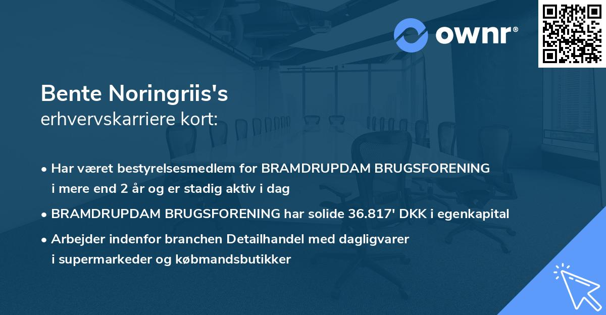 Bente Noringriis's erhvervskarriere kort