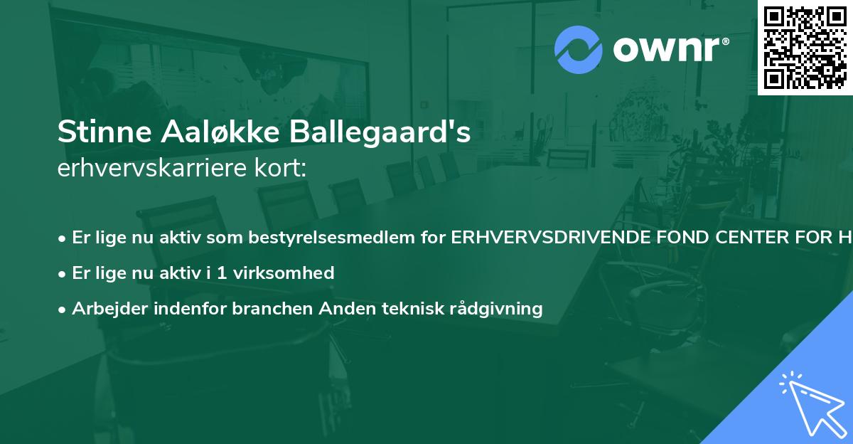 Stinne Aaløkke Ballegaard's erhvervskarriere kort