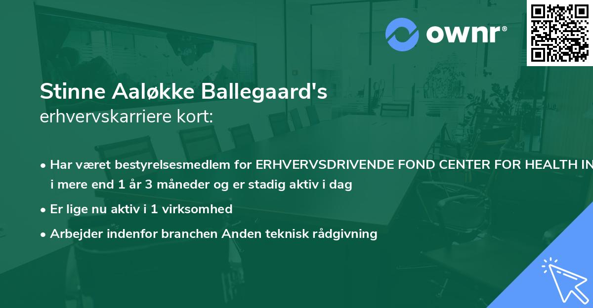 Stinne Aaløkke Ballegaard's erhvervskarriere kort