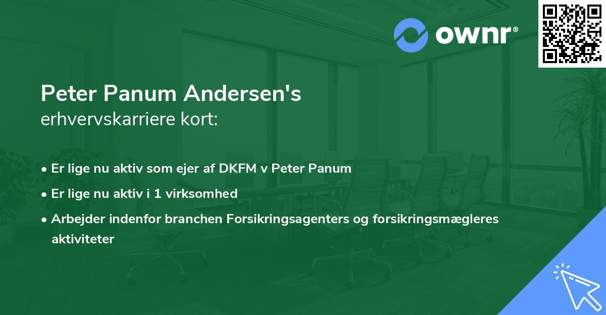 Peter Panum Andersen's erhvervskarriere kort