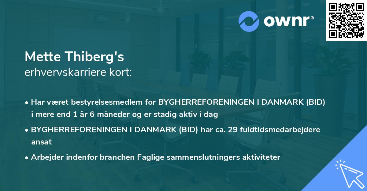 Mette Thiberg's erhvervskarriere kort