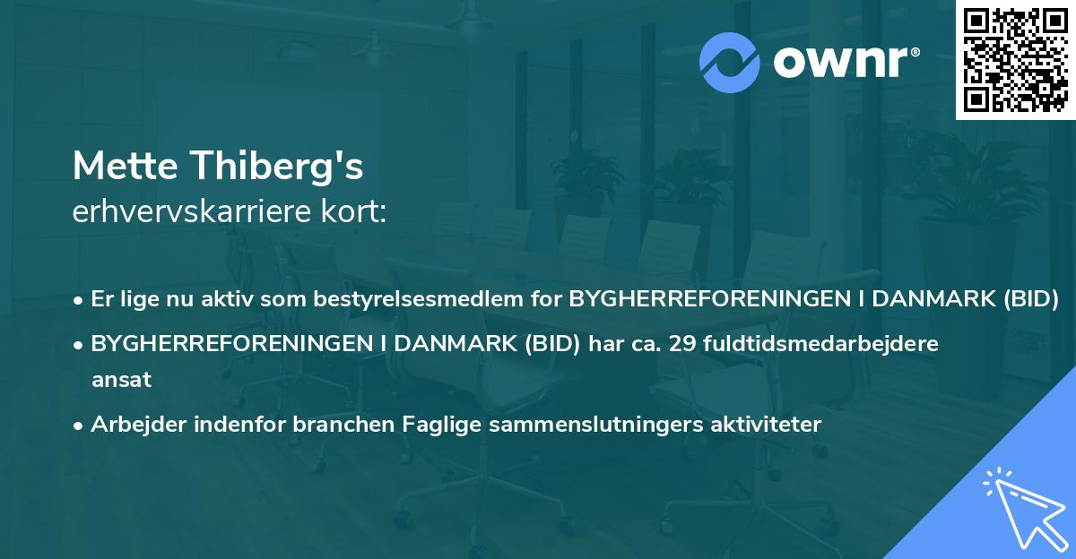 Mette Thiberg's erhvervskarriere kort