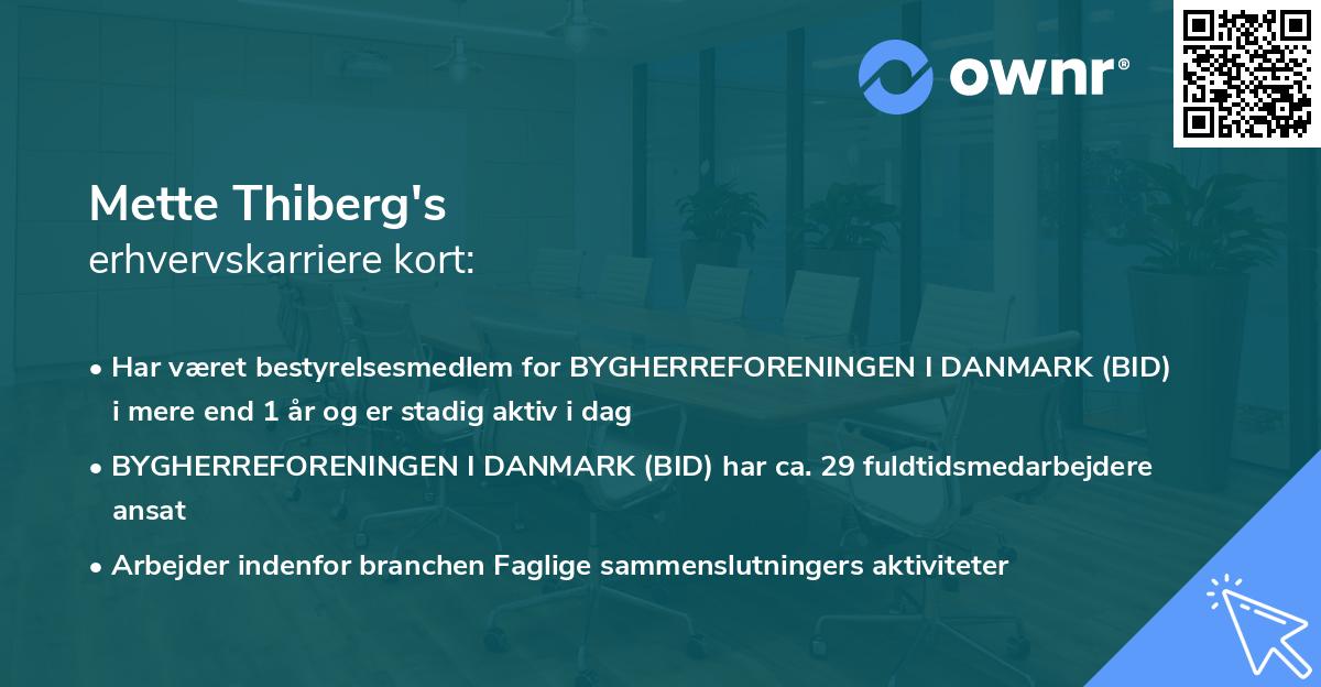 Mette Thiberg's erhvervskarriere kort