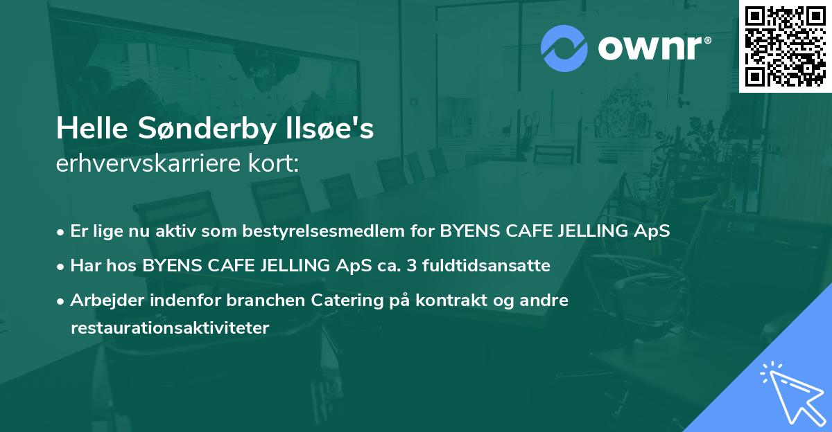 Helle Sønderby Ilsøe's erhvervskarriere kort