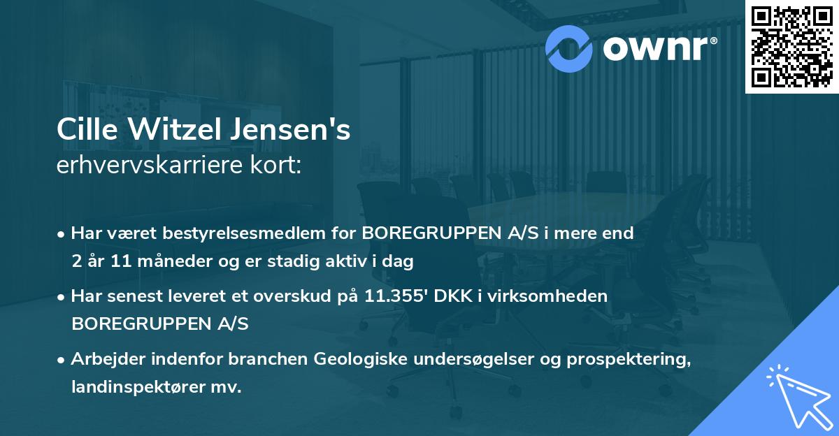 Cille Witzel Jensen's erhvervskarriere kort
