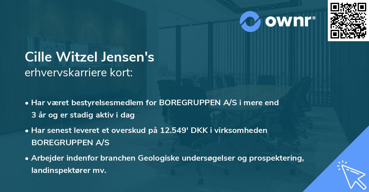 Cille Witzel Jensen's erhvervskarriere kort