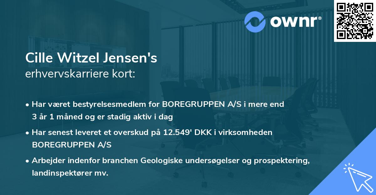 Cille Witzel Jensen's erhvervskarriere kort