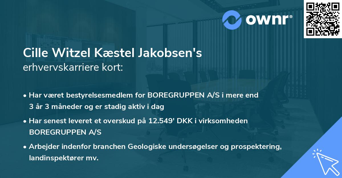 Cille Witzel Kæstel Jakobsen's erhvervskarriere kort
