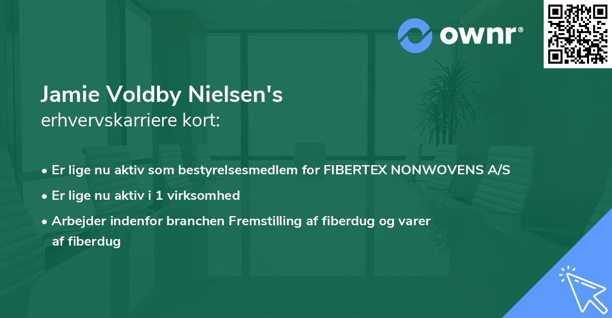 Jamie Voldby Nielsen's erhvervskarriere kort