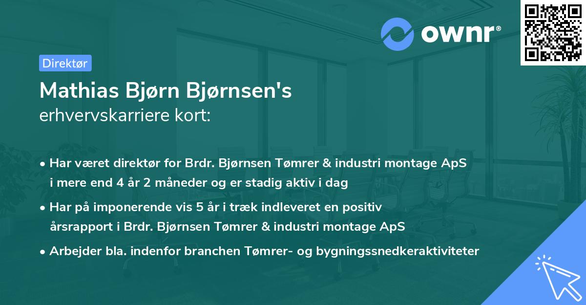 Mathias Bjørn Bjørnsen's erhvervskarriere kort