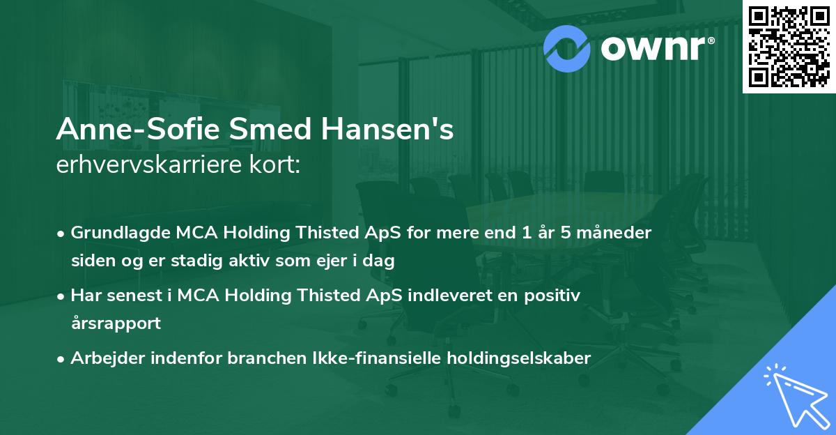 Anne-Sofie Smed Hansen's erhvervskarriere kort