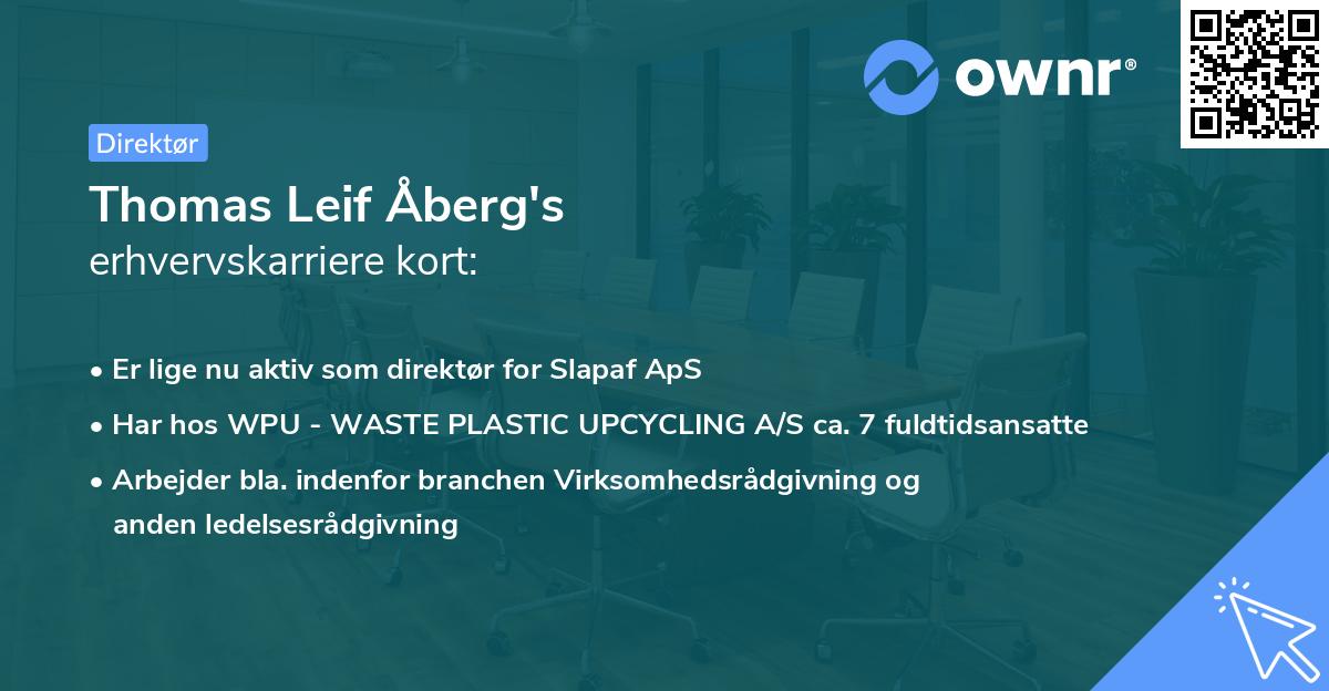 Thomas Leif Åberg's erhvervskarriere kort