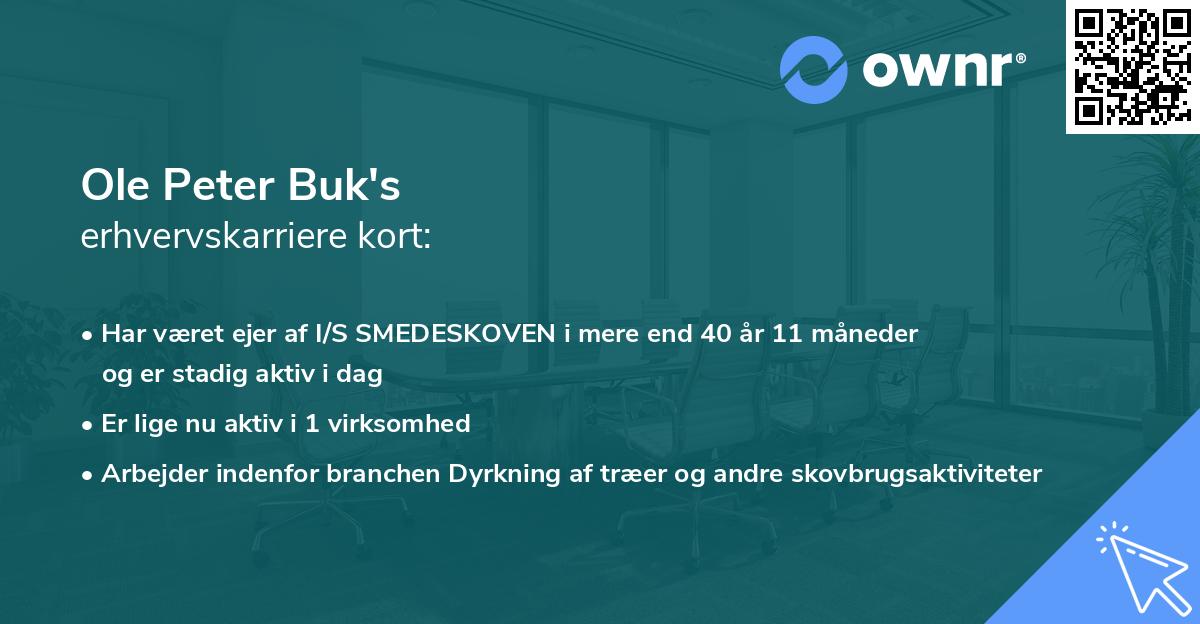 Ole Peter Buk's erhvervskarriere kort