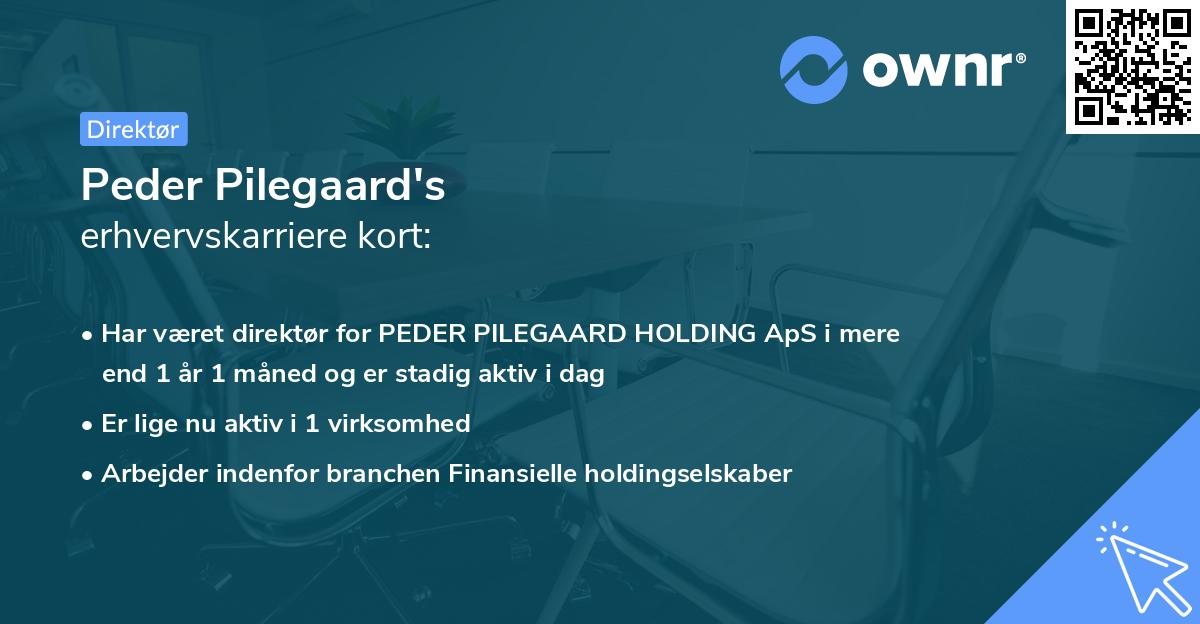 Peder Pilegaard's erhvervskarriere kort