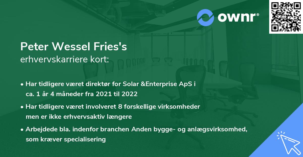 Peter Wessel Fries's erhvervskarriere kort
