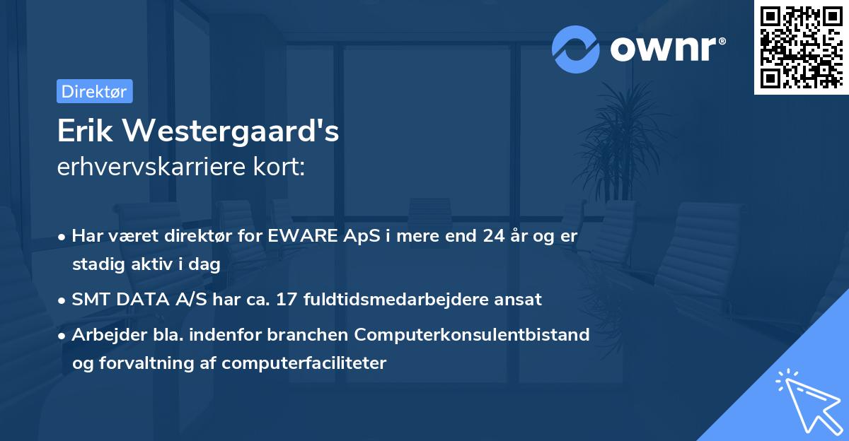 Erik Westergaard's erhvervskarriere kort