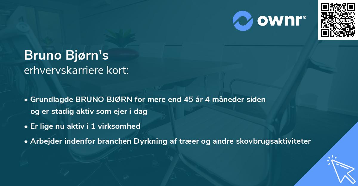 Bruno Bjørn's erhvervskarriere kort
