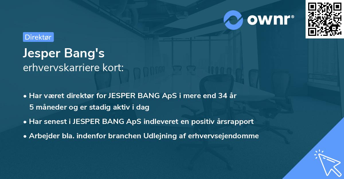 Jesper Bang's erhvervskarriere kort