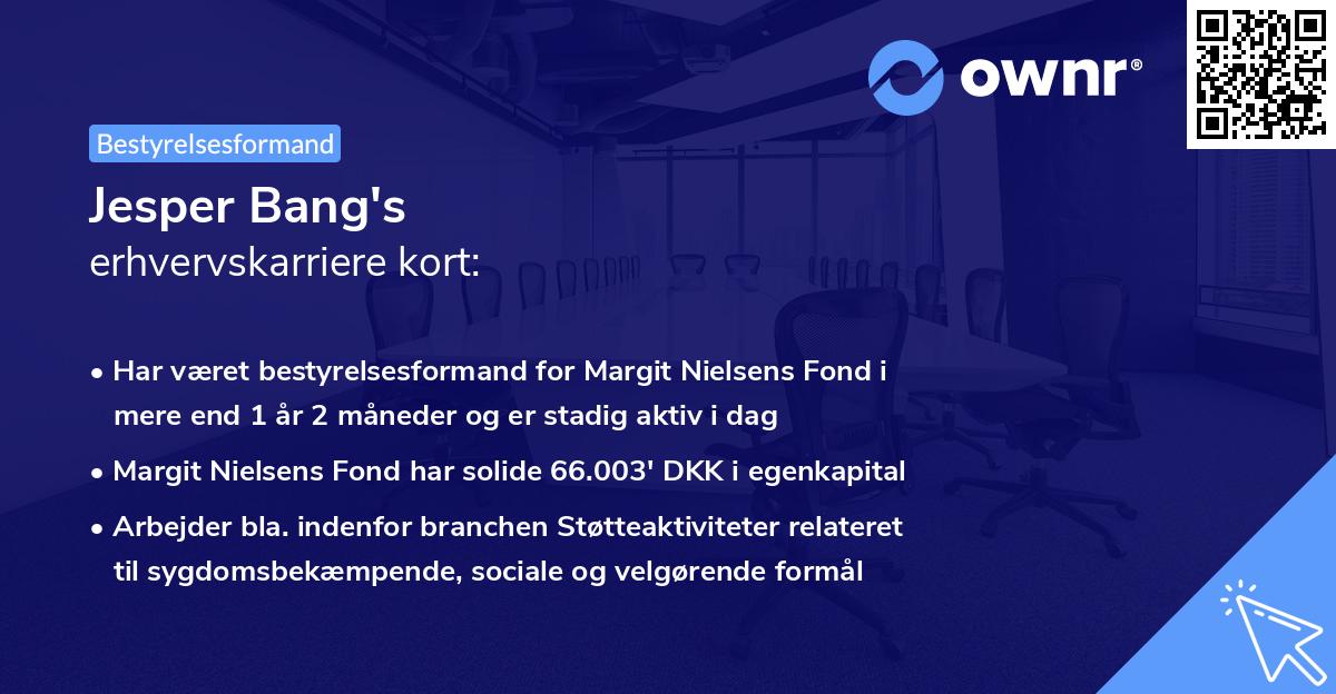 Jesper Bang's erhvervskarriere kort