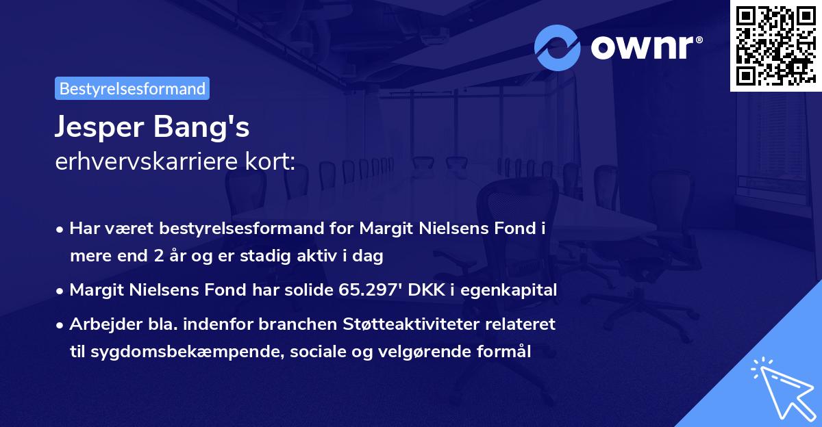 Jesper Bang's erhvervskarriere kort