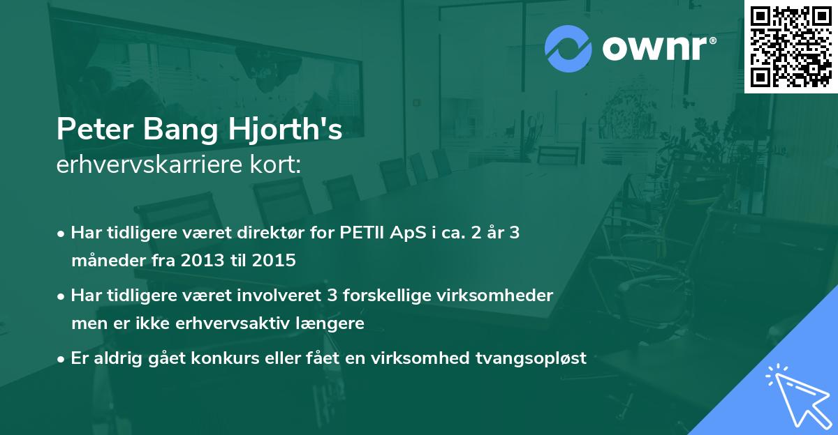 Peter Bang Hjorth's erhvervskarriere kort