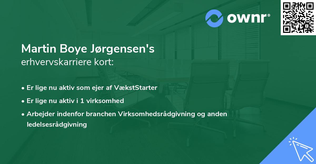 Martin Boye Jørgensen's erhvervskarriere kort