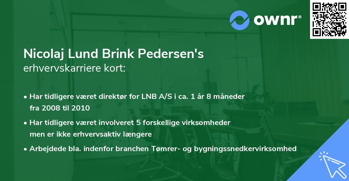 Nicolaj Lund Brink Pedersen's erhvervskarriere kort